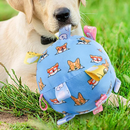 Brinquedo Bola Sonora Sensorial para Cães