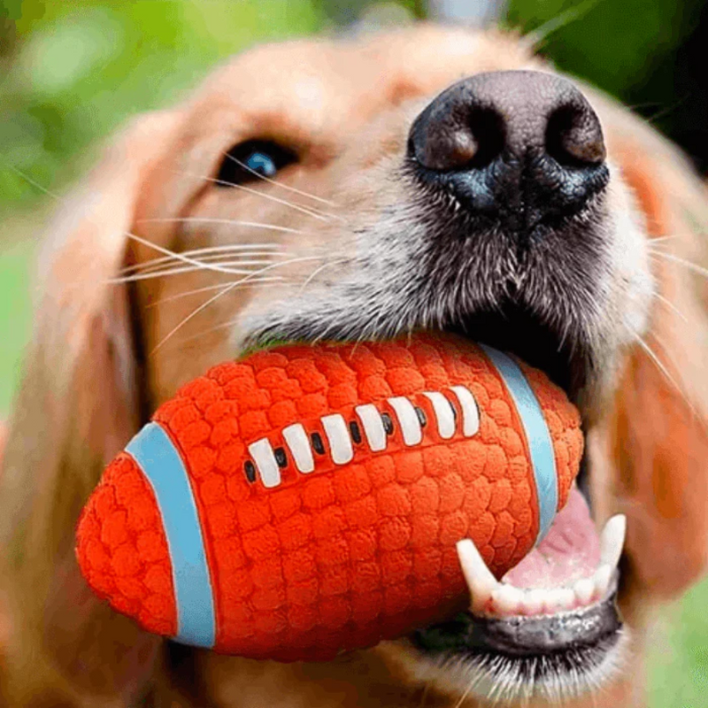 Brinquedo Bola de Esporte para Cães