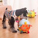 Brinquedo Bola Sonora Sensorial para Cães