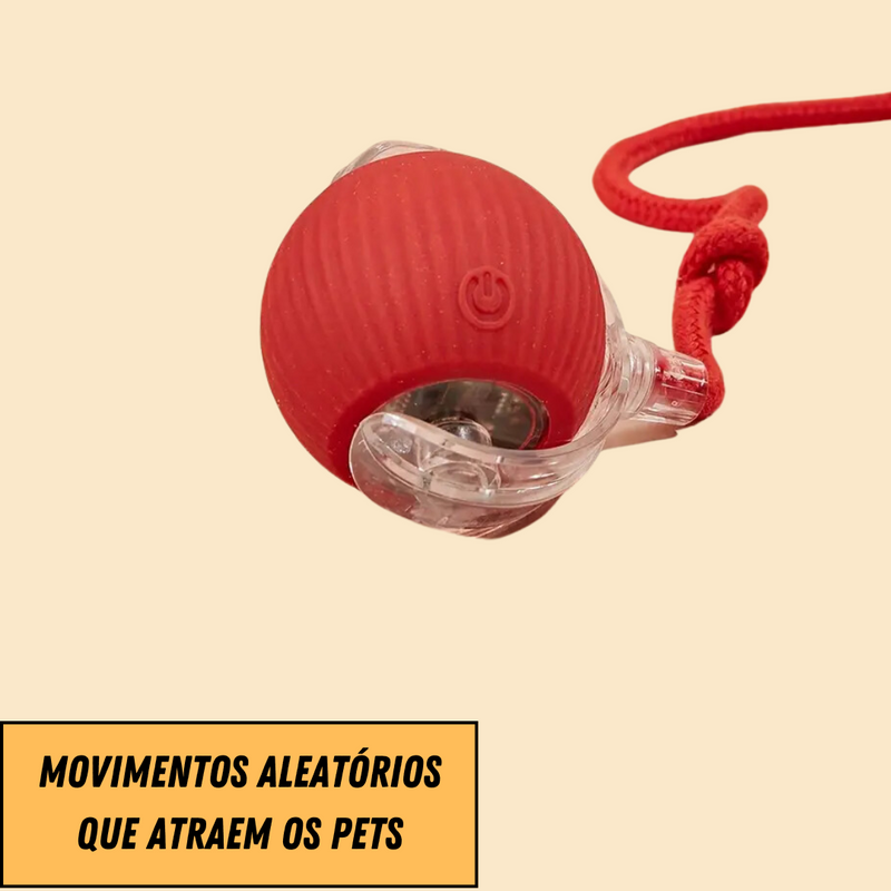 Brinquedo Bola de Caça Eletrônica para Cães