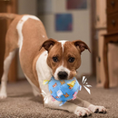 Brinquedo Bola Sonora Sensorial para Cães