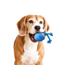 Bola Interativa com Corda para Cães