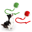 Brinquedo Bola de Caça Eletrônica para Cães