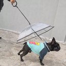Guarda-Chuva com Guia Ajustável para Pets
