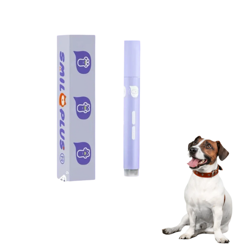 Bastão Hidratante de Patas para Cães
