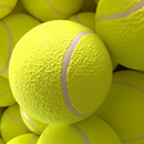 Brinquedo Bola Inflável Gigante para Cães