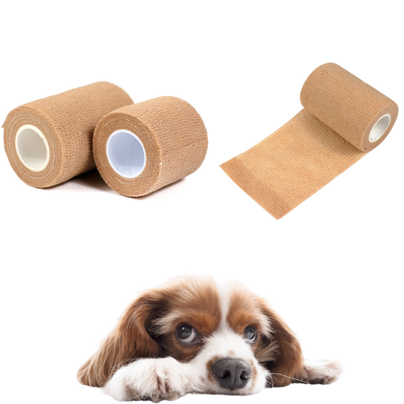 Bandagem Protetora para Cães