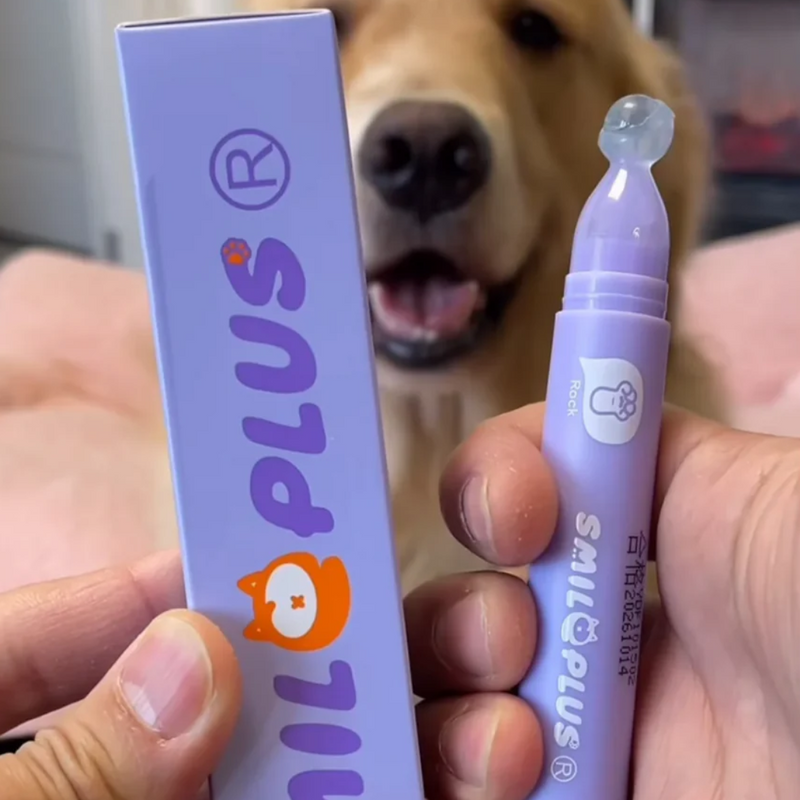 Bastão Hidratante de Patas para Cães