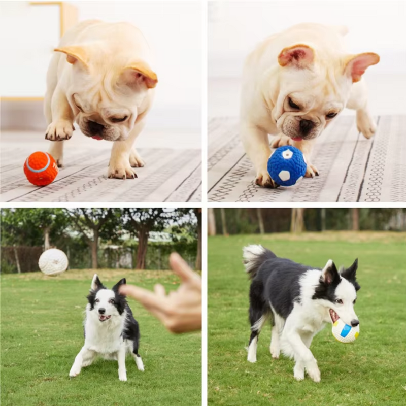 Brinquedo Bola de Esporte para Cães