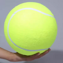 Brinquedo Bola Inflável Gigante para Cães
