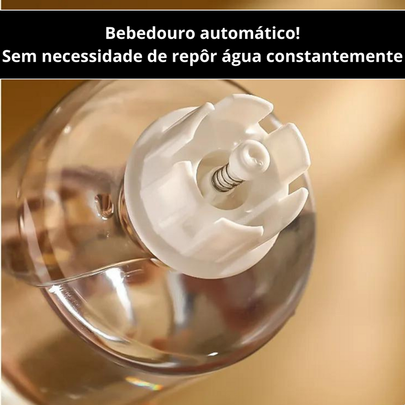 Bebedouro e Comedouro Automáticos para Pets