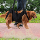 Bolsa de Transporte para Cães