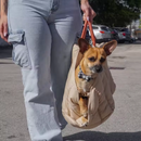 Bolsa Portátil para Transporte de Cães