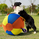 Brinquedo Bola Gigante Colorida para Cães