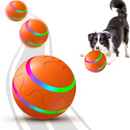 Bolinha Elétrica com Controle Remoto para Cães