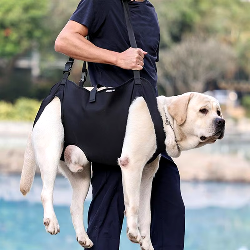 Bolsa de Transporte para Cães