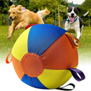 Brinquedo Bola Gigante Colorida para Cães