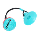 Brinquedo Bola para Mordidas com Base de Sucção para Cães