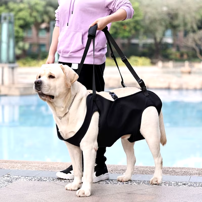 Bolsa de Transporte para Cães