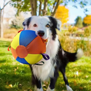 Brinquedo Bola Gigante Colorida para Cães