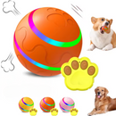 Bolinha Elétrica com Controle Remoto para Cães