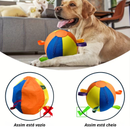 Brinquedo Bola Gigante Colorida para Cães