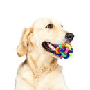 Brinquedo Bola Trançada com Guizo para Cães