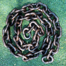 Coleira Gigante para Cães