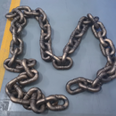 Coleira Gigante para Cães