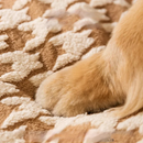 Toquinha Deep Sleep para Cães