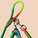 Coleira Cruzada de Mãos Livres para Cães