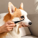 Kit Escova + Pó Removedor de Manchas para Cães