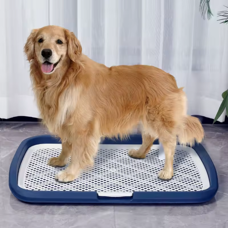 Bandeja Higiênica para Cães