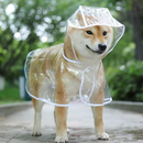 Capa de Chuva Transparente para Cães