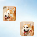 Kit Escova + Pó Removedor de Manchas para Cães