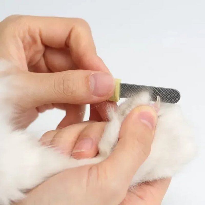 Cortador de Unhas LED para Pets