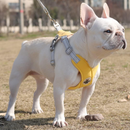 Colete Peitoral com Guia para Cães