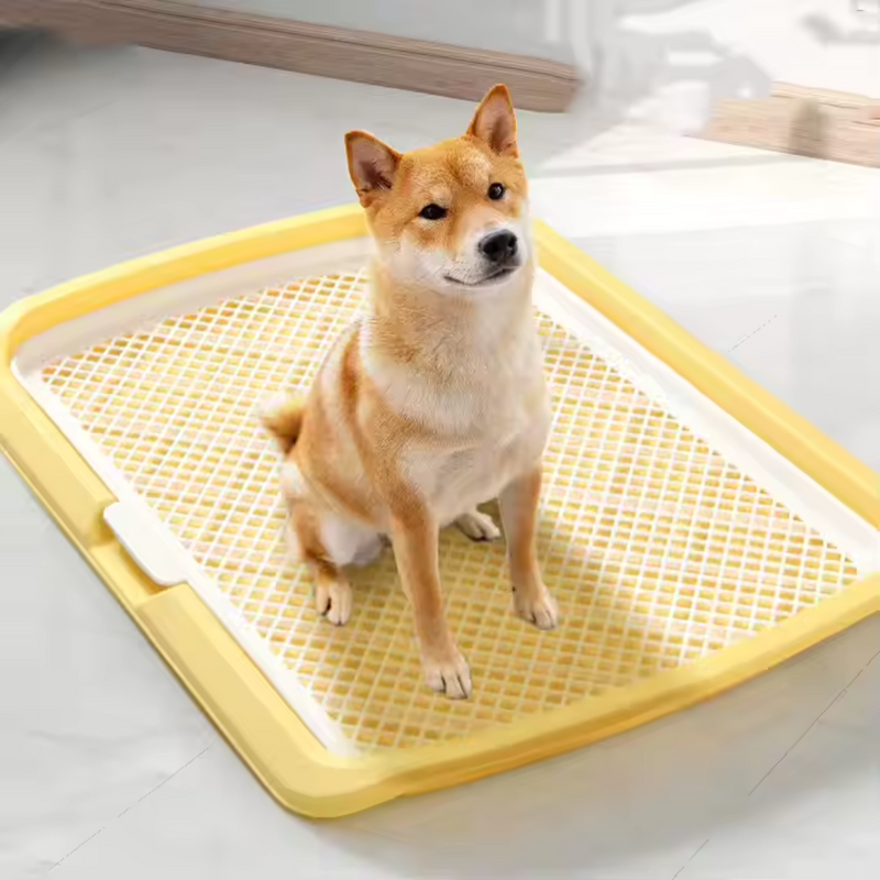 Bandeja Higiênica para Cães