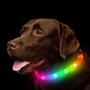 Coleira LED Recarregável para Cães