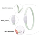 Coleira LED Recarregável para Cães
