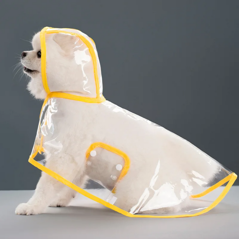 Capa de Chuva Transparente para Cães