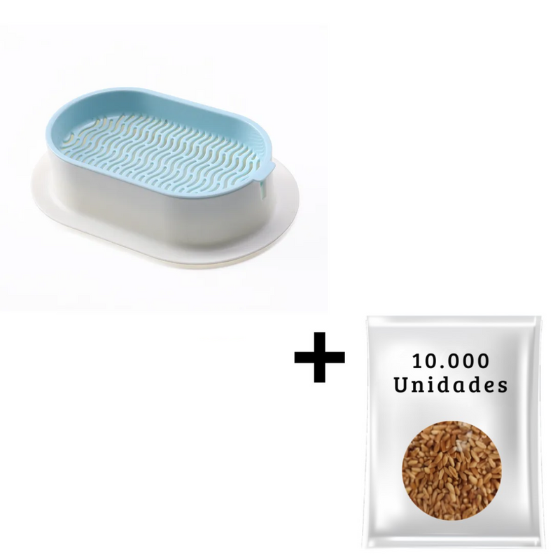 Vasos para Sementes de Grama para Pets