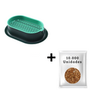 Vasos para Sementes de Grama para Pets