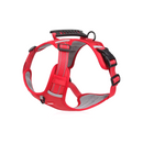 Peitoral Reflexivo Ajustável para Cães