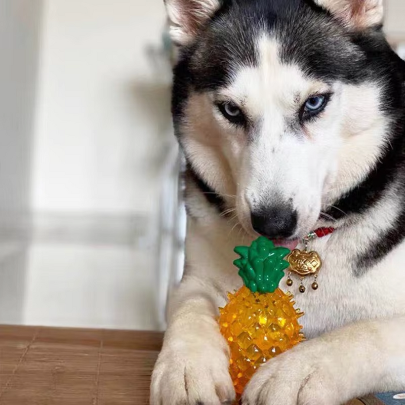 Brinquedo Fruta Refrescante para Cães