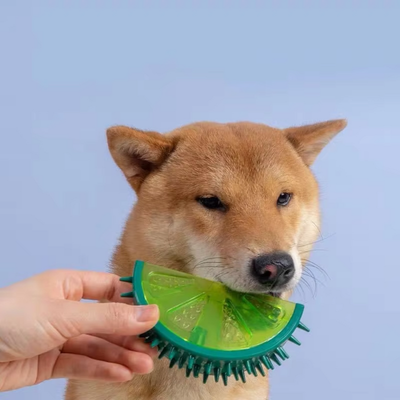 Brinquedo Fruta Refrescante para Cães