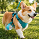 Garrafa Cápsula de Passeio para Cães