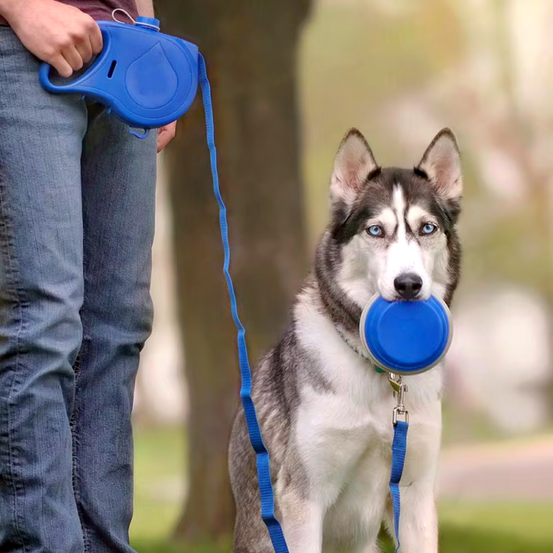 Coleira Multifuncional para Cães