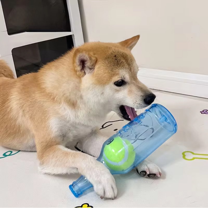 Brinquedo Garrafa de Borracha para Cães