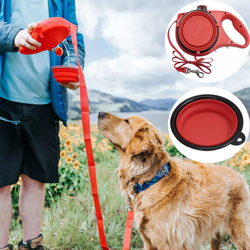 Coleira Multifuncional para Cães